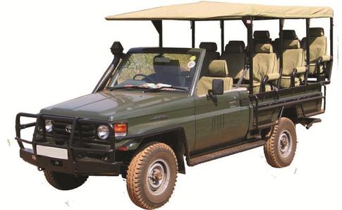 Safari Cruiser Open Game Drive